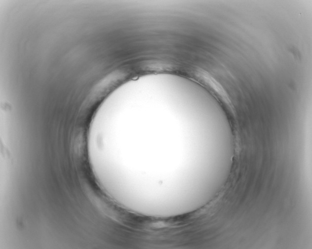 X0000091240163200708091137
