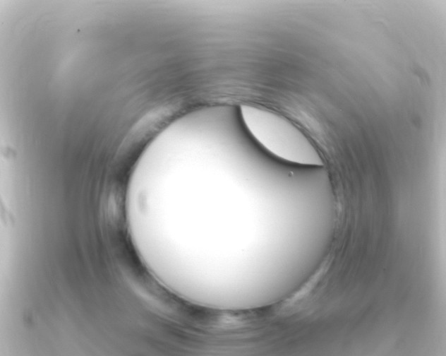 X0000091240166200708091137