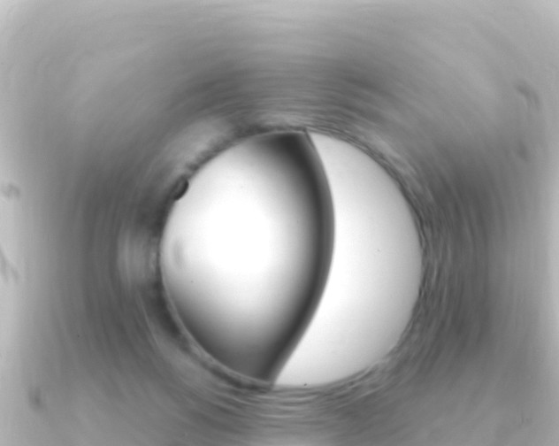 X0000091240168200708091137