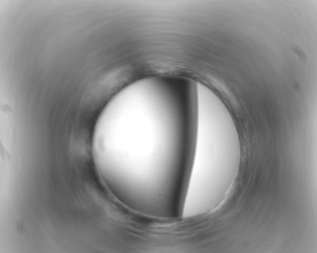 X0000091240170200708091137