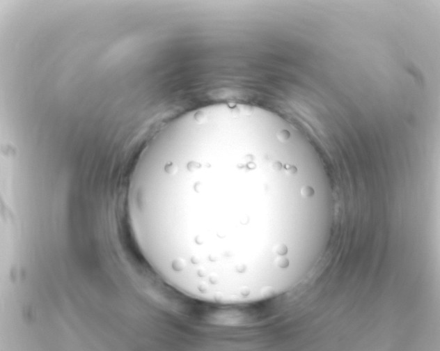 X0000091240171200708091137