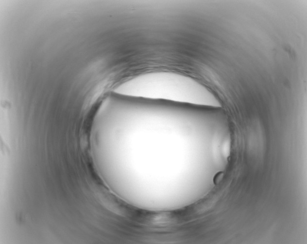 X0000091240173200708091137