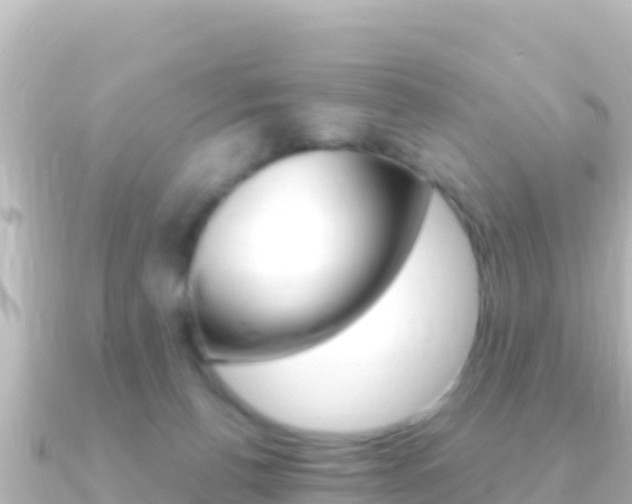 X0000091240176200708091137