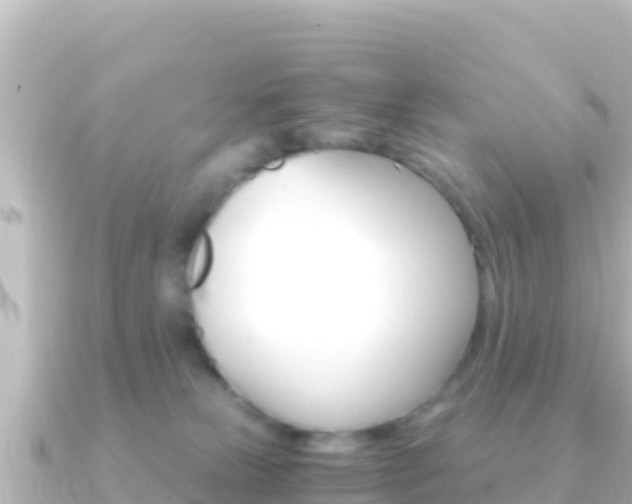 X0000091240181200708091137