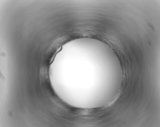 X0000091240182200708091137