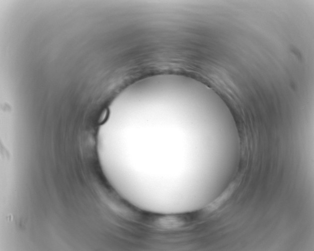 X0000091240183200708091137