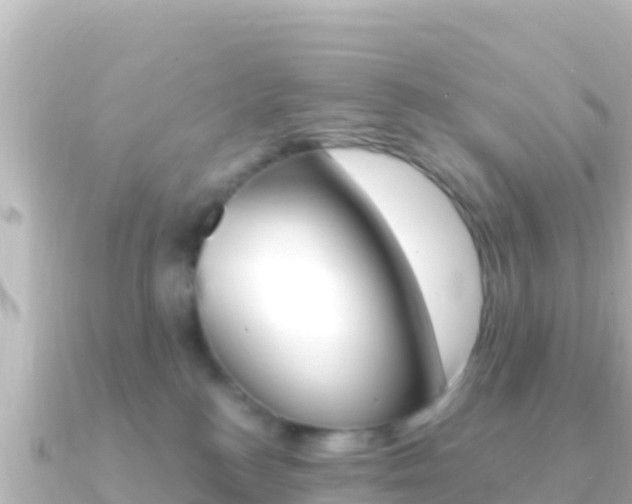 X0000091240184200708091137