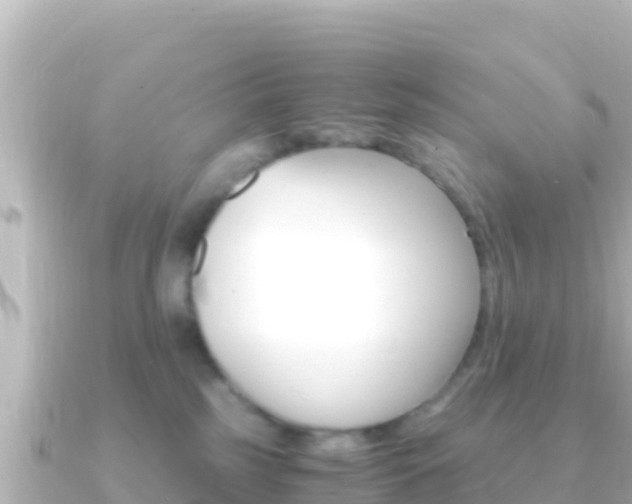 X0000091240185200708091137