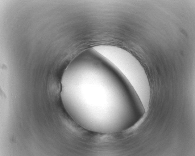 X0000091240186200708091137