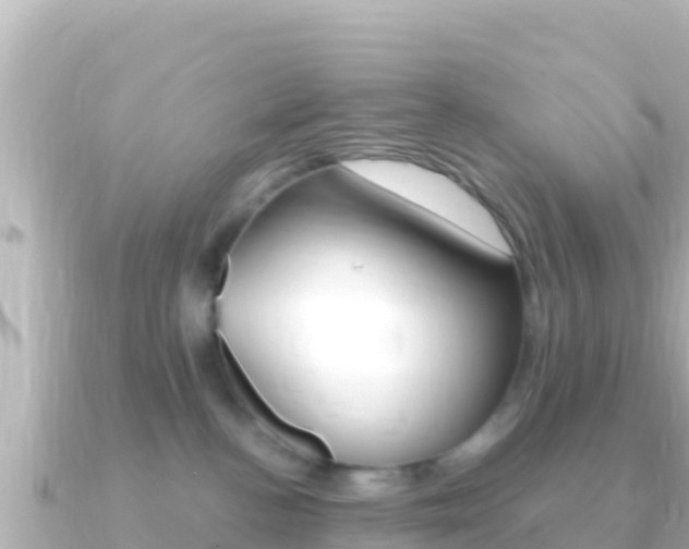 X0000091240188200708091137
