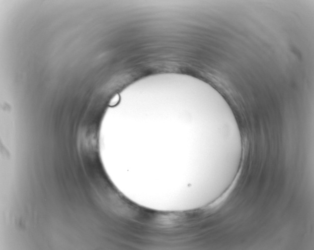 X0000091240190200708091137
