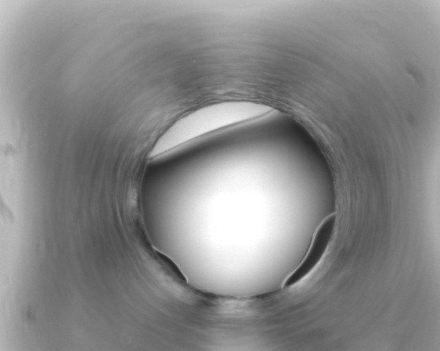 X0000091240192200708091137
