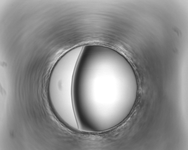 X0000091240193200708091137