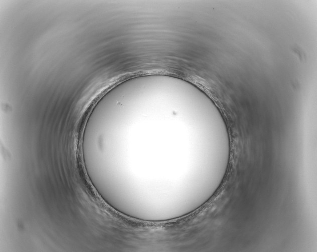 X0000091240194200708091137