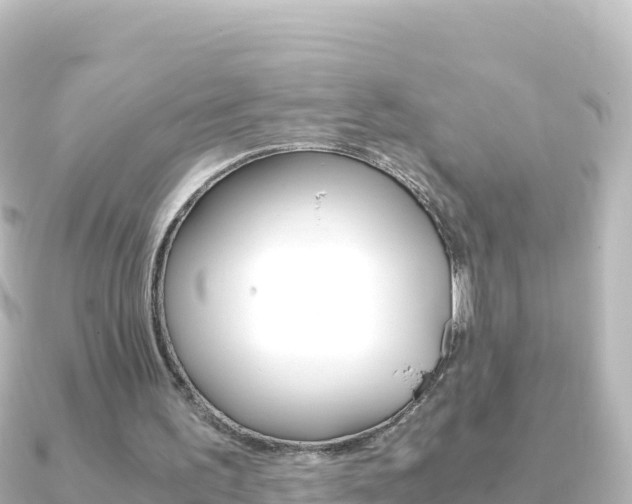 X0000091240195200708091137