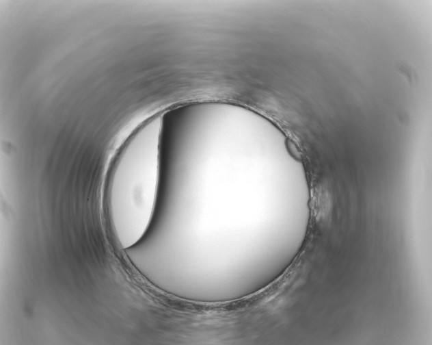 X0000091240196200708091137