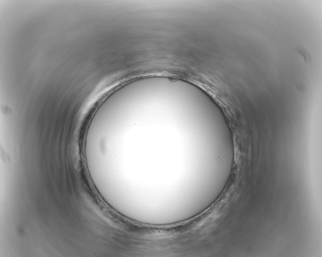 X0000091240198200708091137