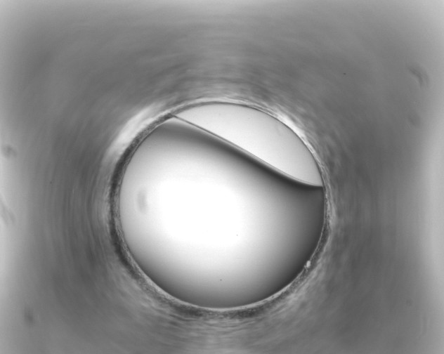 X0000091240199200708091137