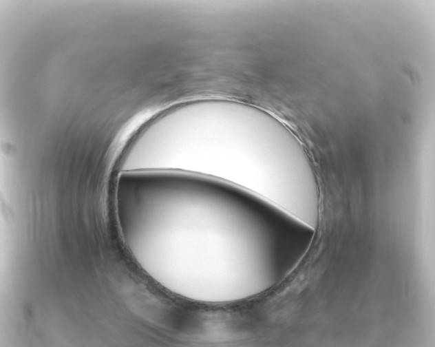 X0000091240200200708091137