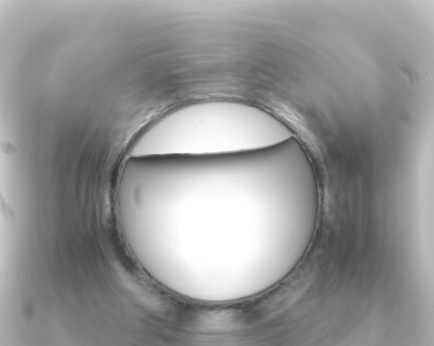 X0000091240202200708091137
