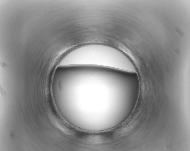 X0000091240203200708091137