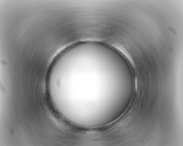 X0000091240204200708091137