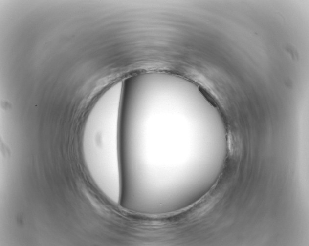 X0000091240205200708091137