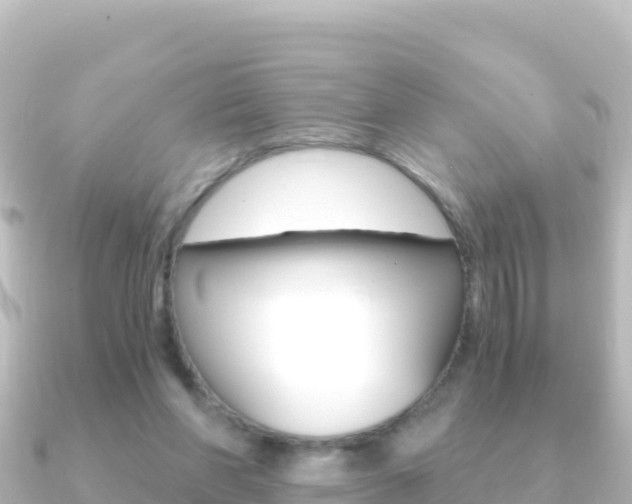 X0000091240206200708091137