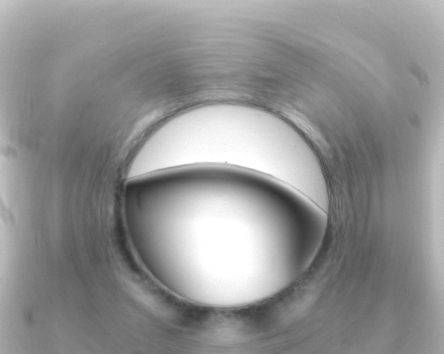 X0000091240207200708091137