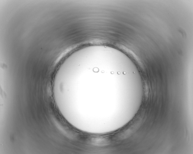 X0000091240208200708091137