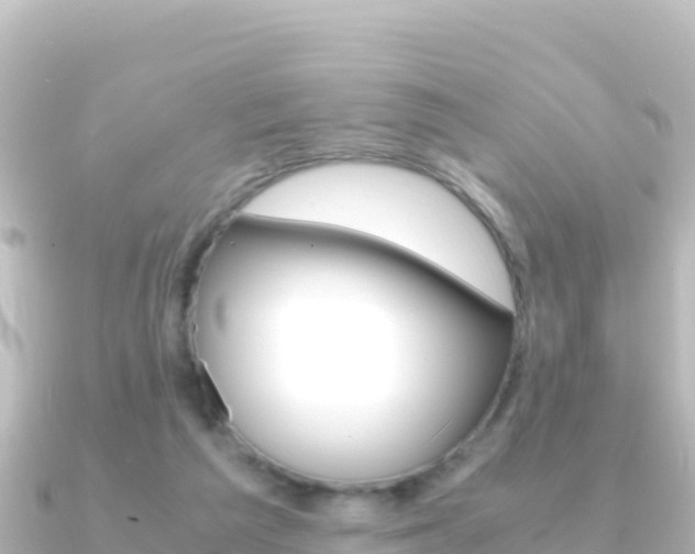 X0000091240209200708091137