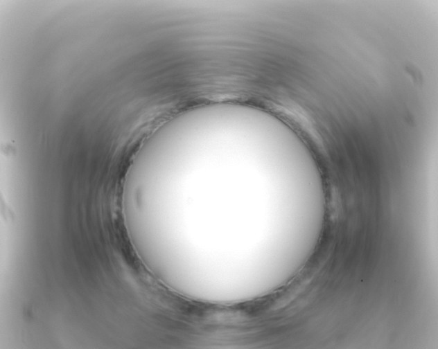 X0000091240210200708091137