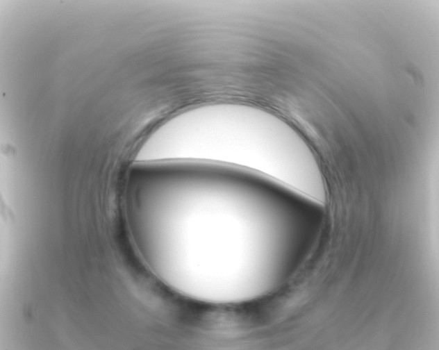 X0000091240211200708091137