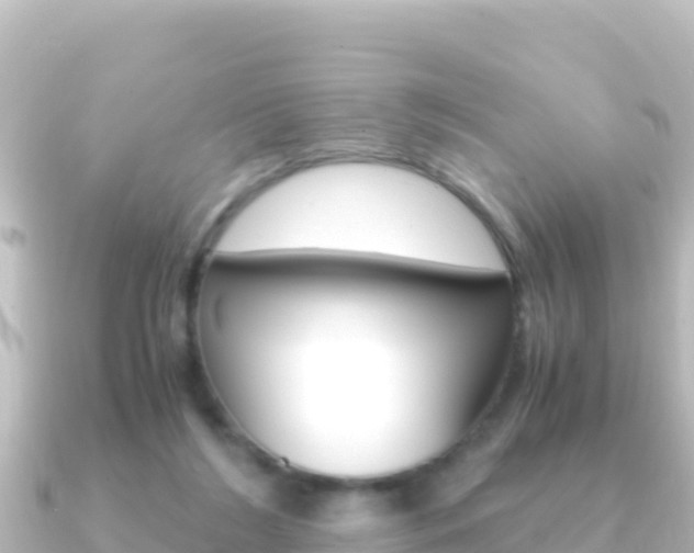 X0000091240212200708091137