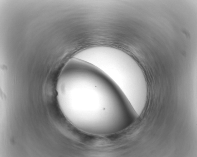 X0000091240215200708091137