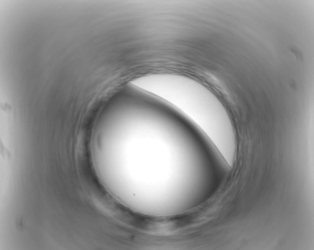 X0000091240217200708091137