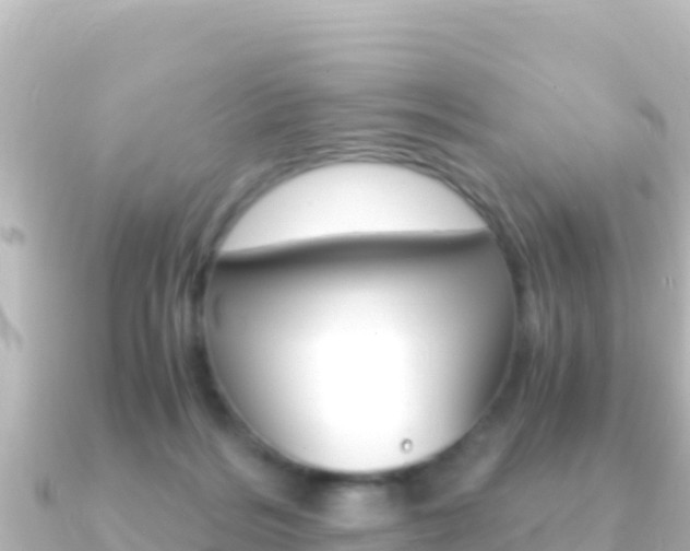 X0000091240220200708091137