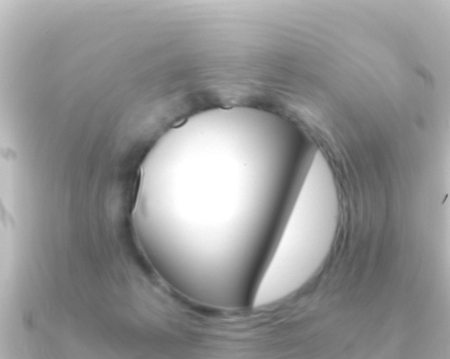 X0000091240221200708091137