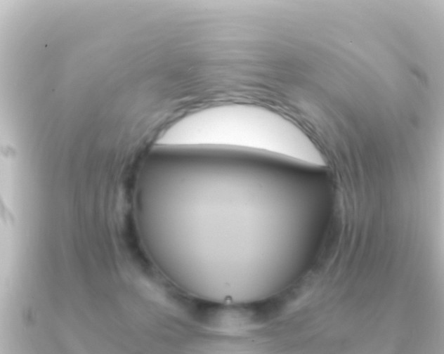 X0000091240223200708091137