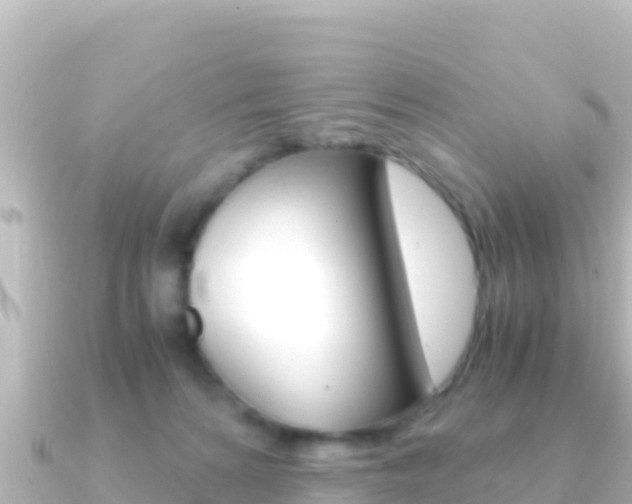 X0000091240224200708091137