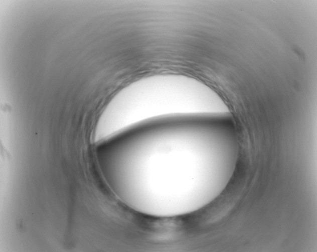 X0000091240225200708091137
