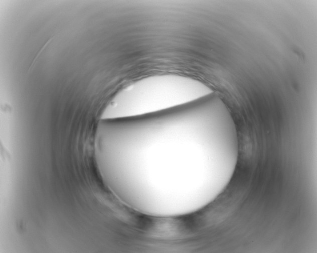 X0000091240226200708091137