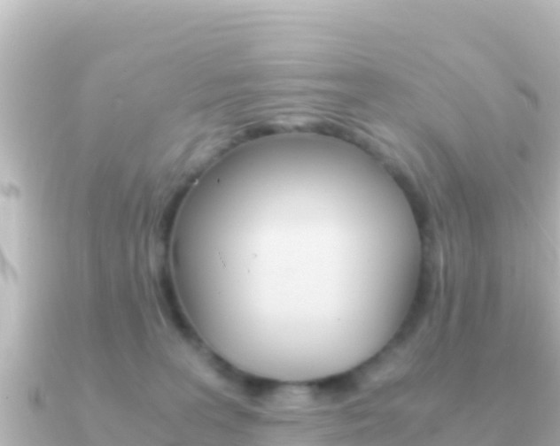 X0000091240227200708091136