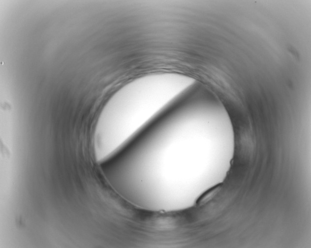 X0000091240228200708091136