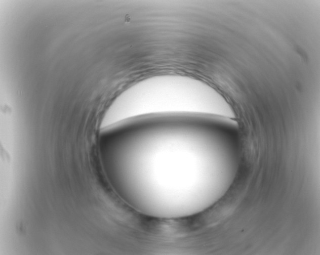 X0000091240229200708091136