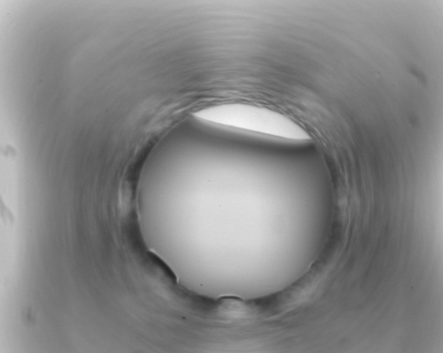 X0000091240231200708091136