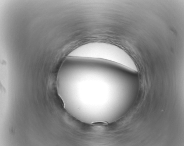 X0000091240233200708091136