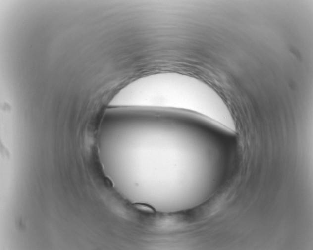 X0000091240235200708091136