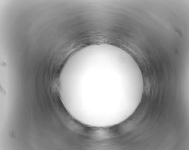 X0000091240236200708091136