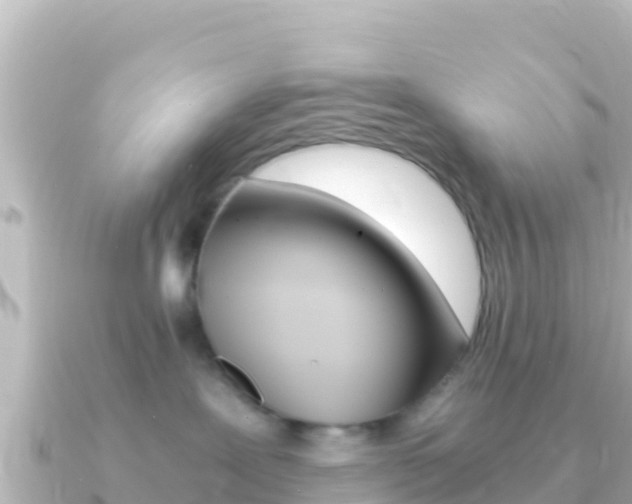 X0000091240239200708091136